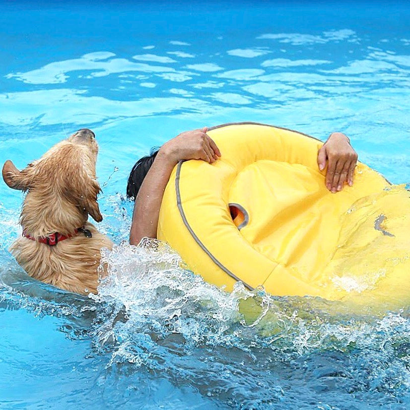 海外犬服 高品質なインポートのドッグウェア通販 